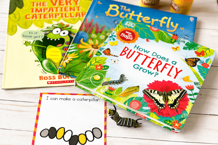 Life Cycle of a Butterfly Playdough Mat - Free Printable - Views