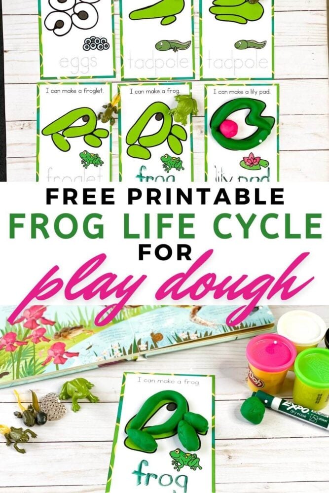 free printable frog life cycle play dough mats
