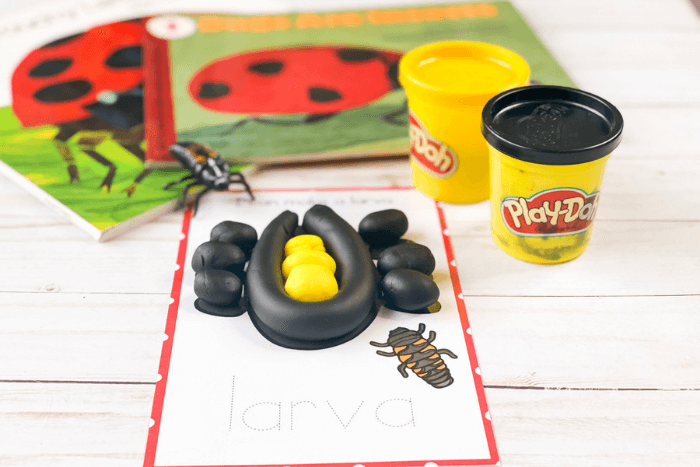 the ladybug life cycle play dough mat for the life stage "larva".