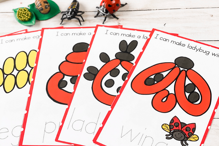 Free Printable Life Cycle of a Ladybug Play Dough Mats 13 overhead view of the ladybug life cycle play dough mats printables.