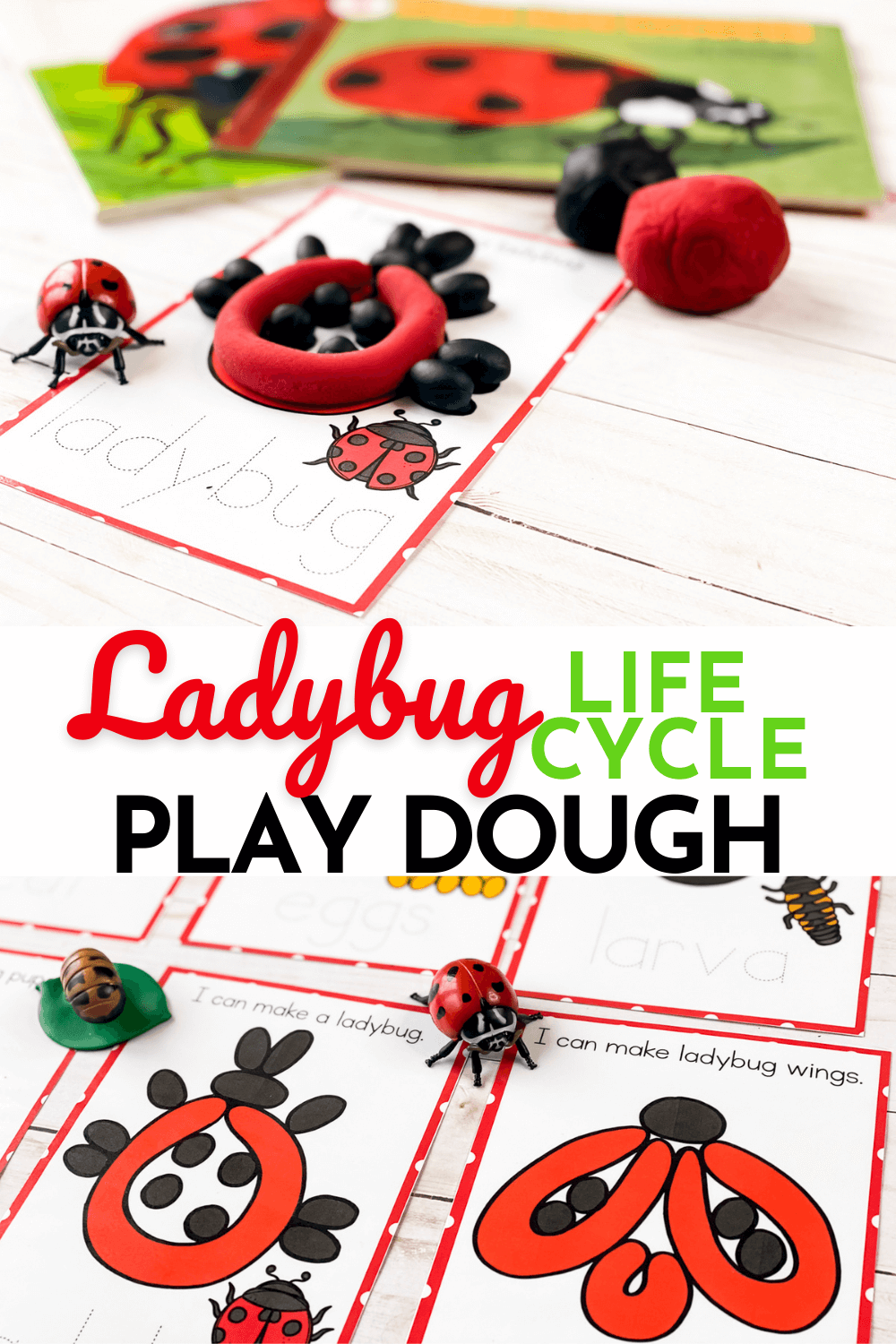 Free Printable Life Cycle of a Ladybug Play Dough Mats 15 ladybug life cycle play dough activity