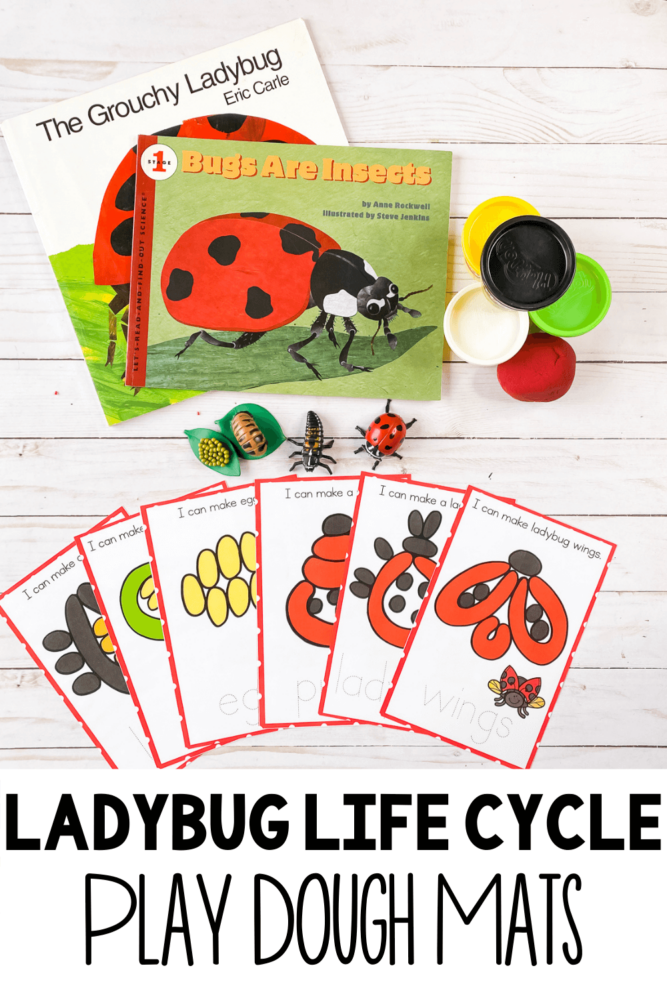 ladybug life cycle play dough mats