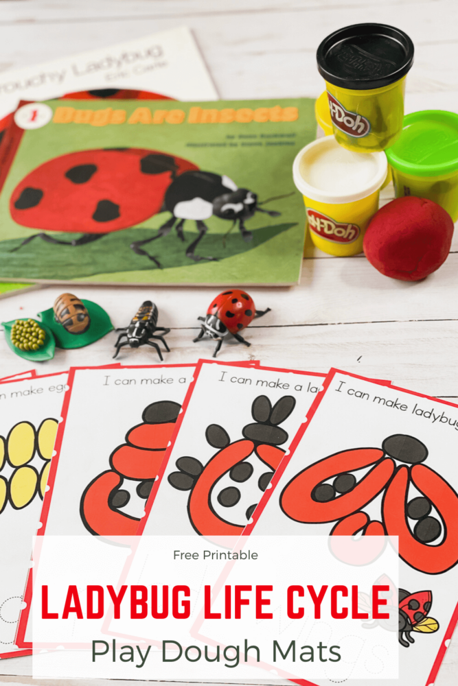 the play dough mats for the four stages of the ladybug life cycle next to a book about ladybugs.
