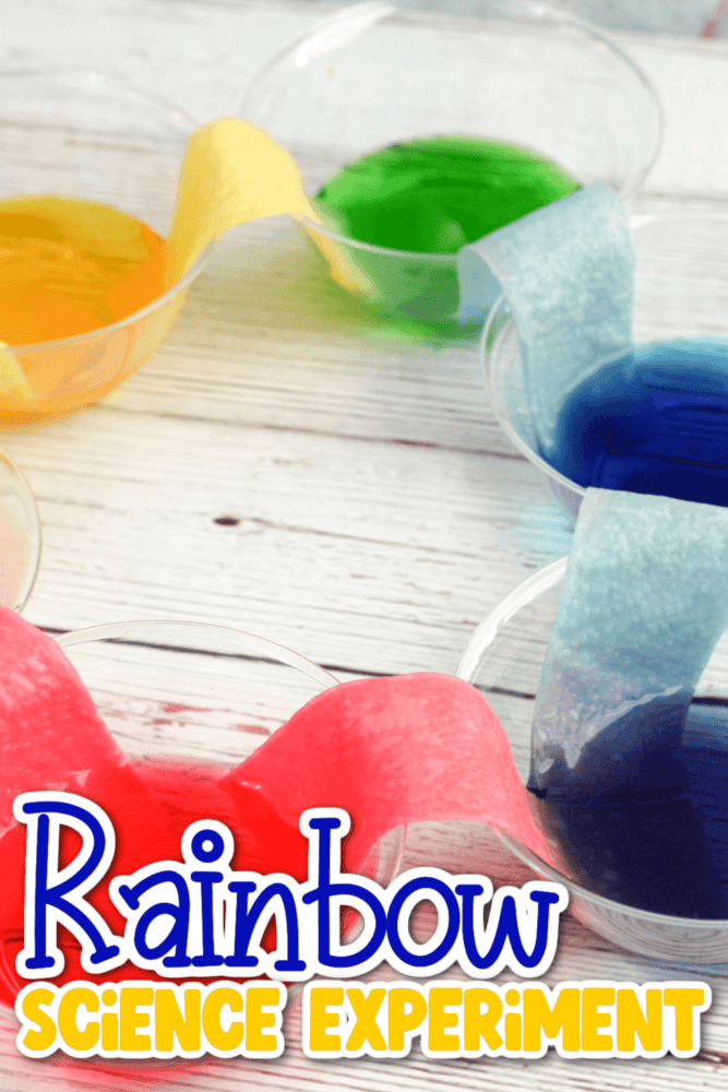 rainbow walking water science experiment