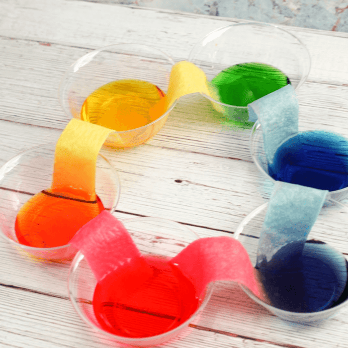 completed rainbow walking water science experiment with 6 cups in a circle with paper towels wicking colored water to make mixed colors