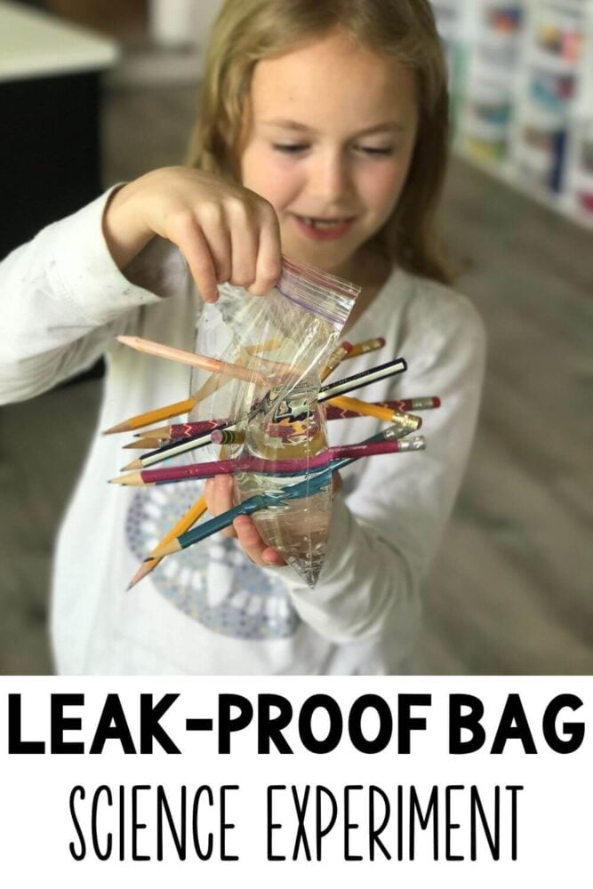 easy leak-proof bag science experiment
