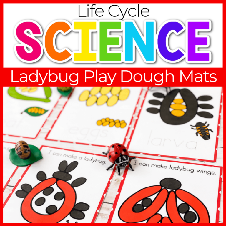 life cycle of a ladybug play dough mats