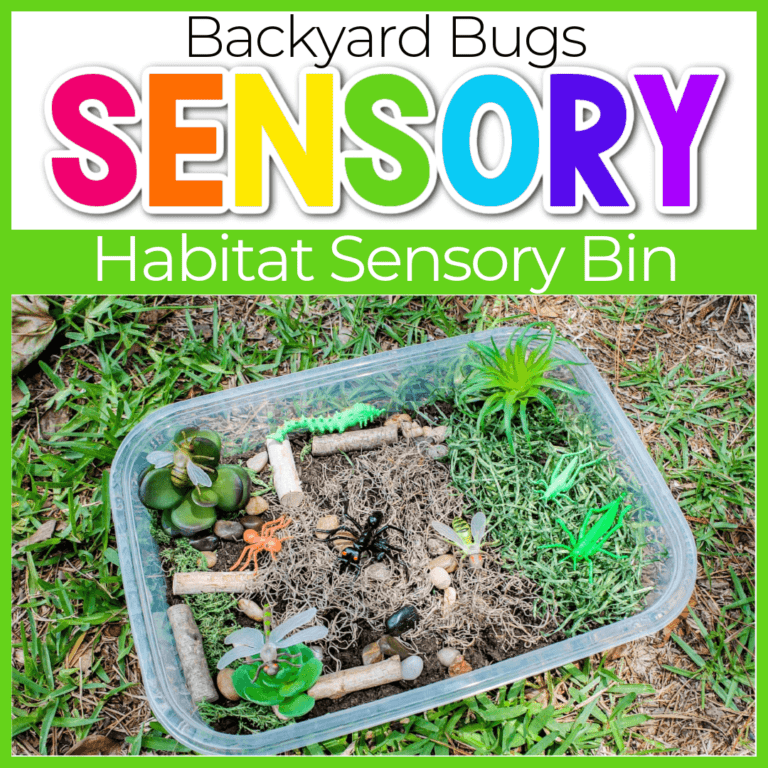 create a bug sensory bin for preschoolers to use during your insect unit or when you are learning about life cycles with your preschoolers. they can learn about habitats, what bugs are and what food they eat with this fun bug sensory bin.