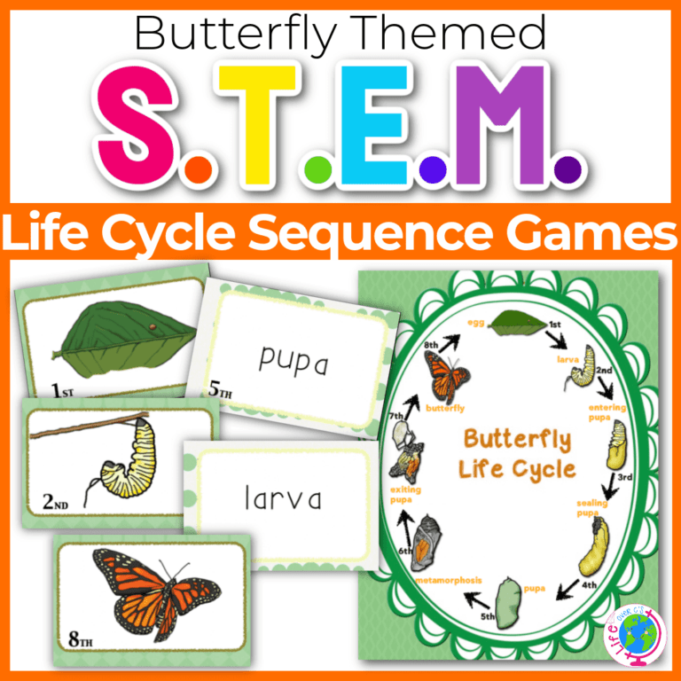 butterfly life cycle sequencing games science for kid