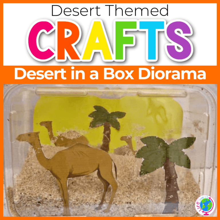 desert in a box desert diorama