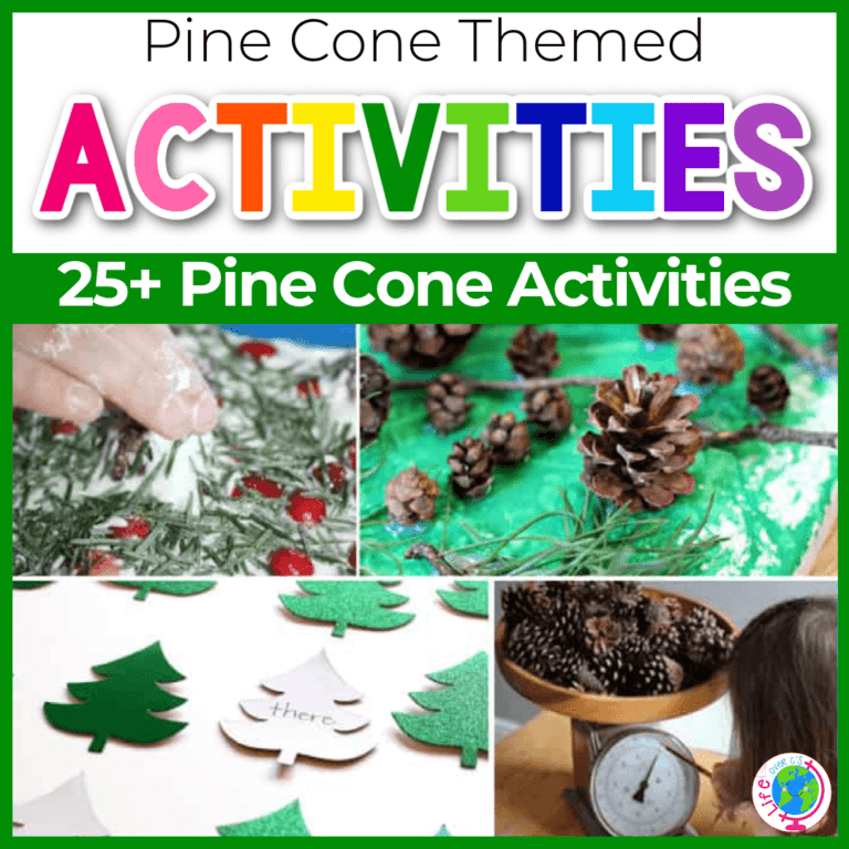 pinecone activities for winter