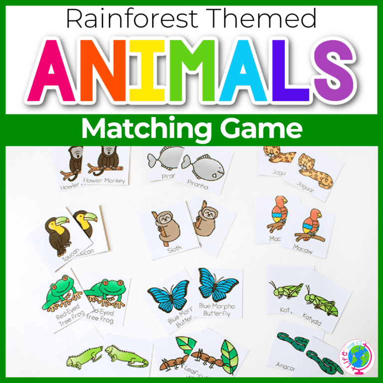 rainforest animal theme matching game for preschoolers
