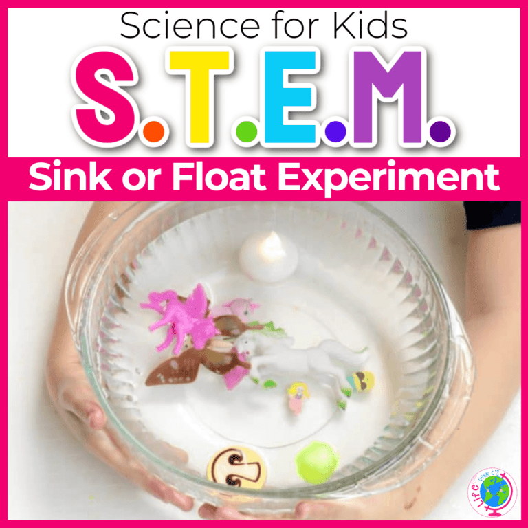 sink or float science experiment for kids