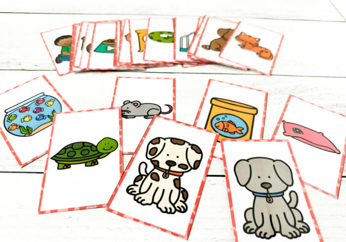 i spy picture cards featuring colorful images of pets and their supplies.