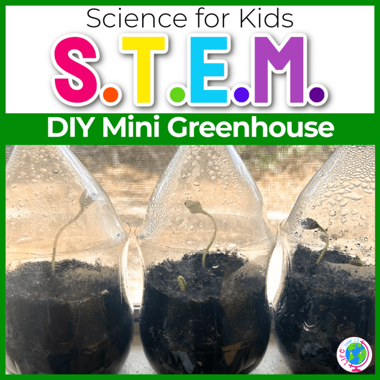 text says science for kids stem diy mini greenhouse image shows 3 mini greenhouses made from plastic bottles with germinated seeds