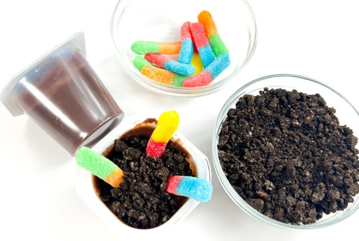 Dirt Treats for Kids - No Time For Flash Cards