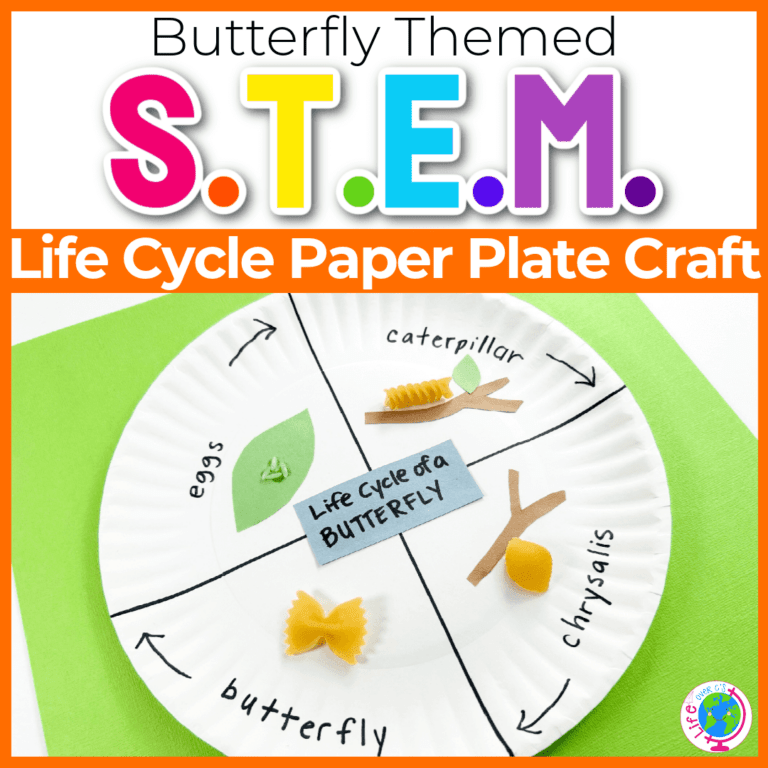 paper plate life cycle of a butterfly craft.