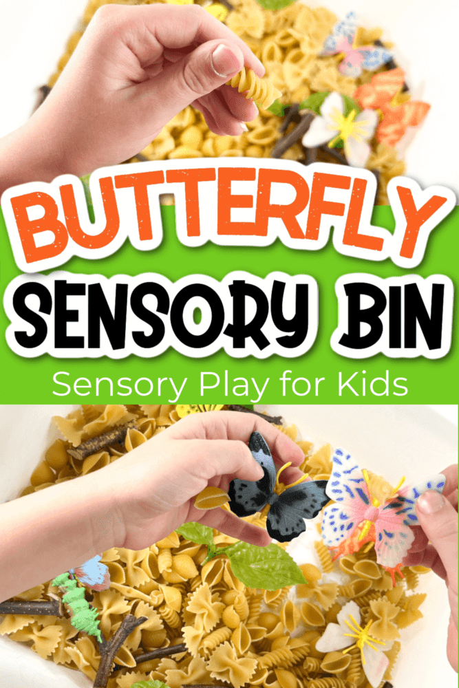 life cycle of a butterfly activity for sensory development.