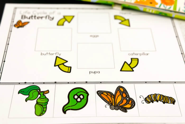 – Life Over C's Cut and paste the pictures next to the labels to show four stages of the butterfly life cycle.