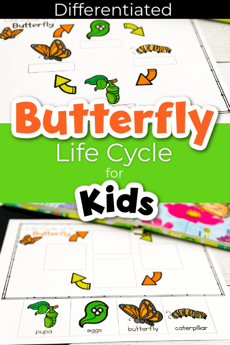 Free Printable Life Cycle of a Butterfly Diagrams for Kids