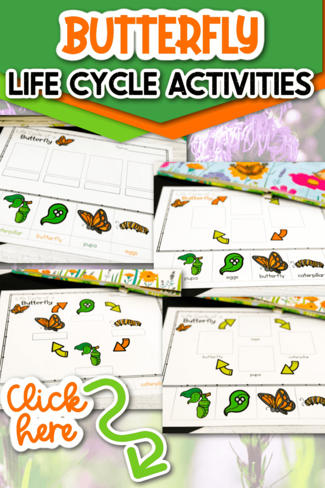 free printable diagrams for learning about the life cycle of a butterfly.