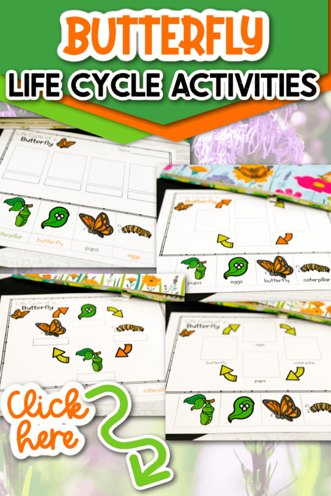 Free printable diagrams for learning about the life cycle of a butterfly.