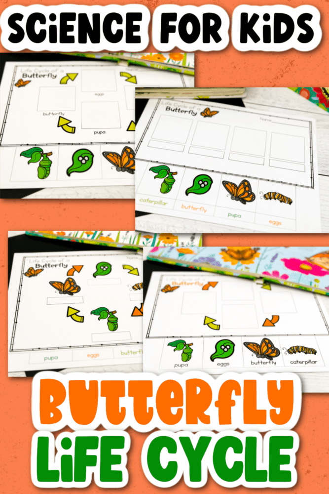 no-prep printable worksheets to practice a butterfly's life cycle.