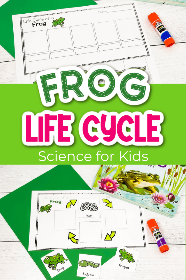 Life Cycle of a Frog Printable Diagrams for Kids