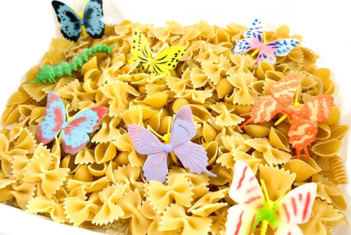 Colorful plastic butterflies and bowtie pasta added to the sensory bin.
