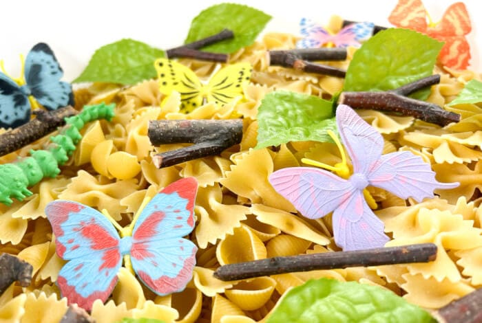 sticks and leaves in the butterfly sensory bin.