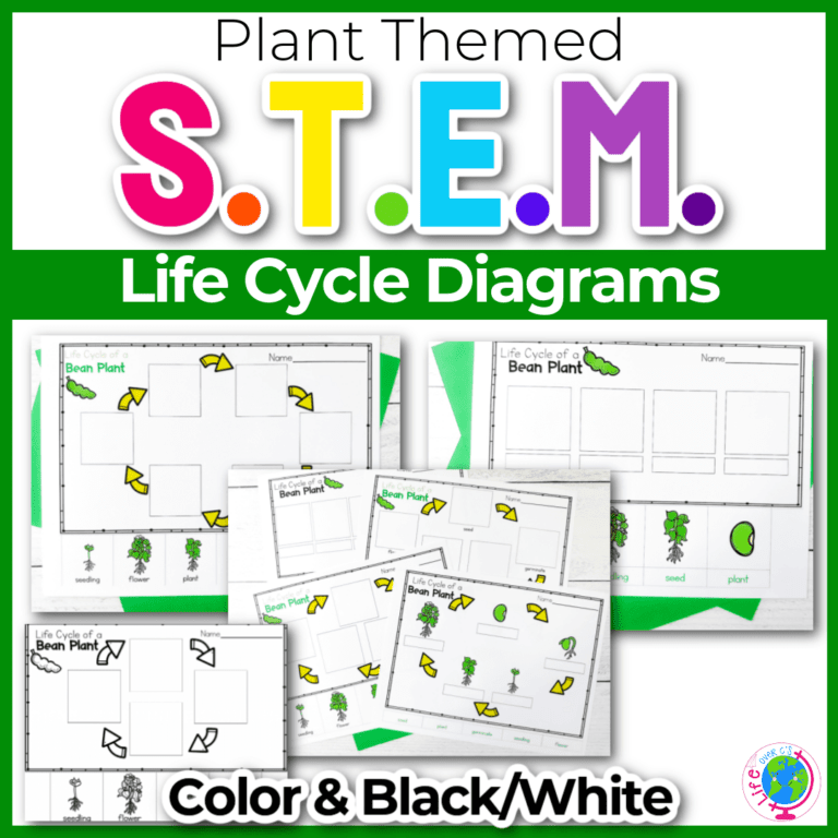 plant life cycle science activity for kids.