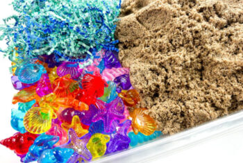 Easy Seashell Sensory Bin for Your Ocean Theme