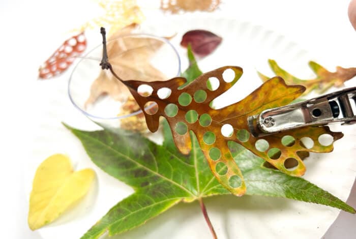 someone is using a hole punch to make circle leaf confetti.