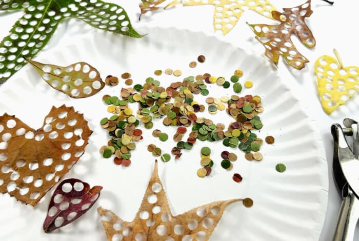 a pile of colorful leaf confetti is on a paper plate surrounded by leaves with holes punched out of them.