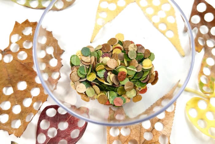 finished fall leaves confetti.