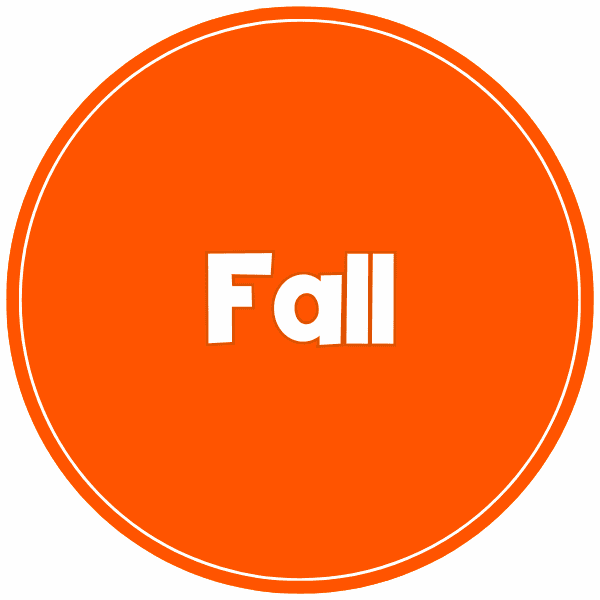 fall category icon