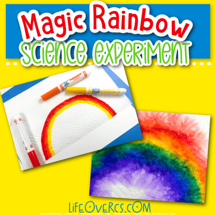 photo collage showing a magic rainbow science experiment for kids.
