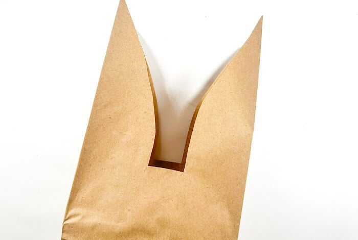 a brown paper bag with the ears cut out to make a bunny head shape.