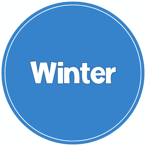 winter category icon