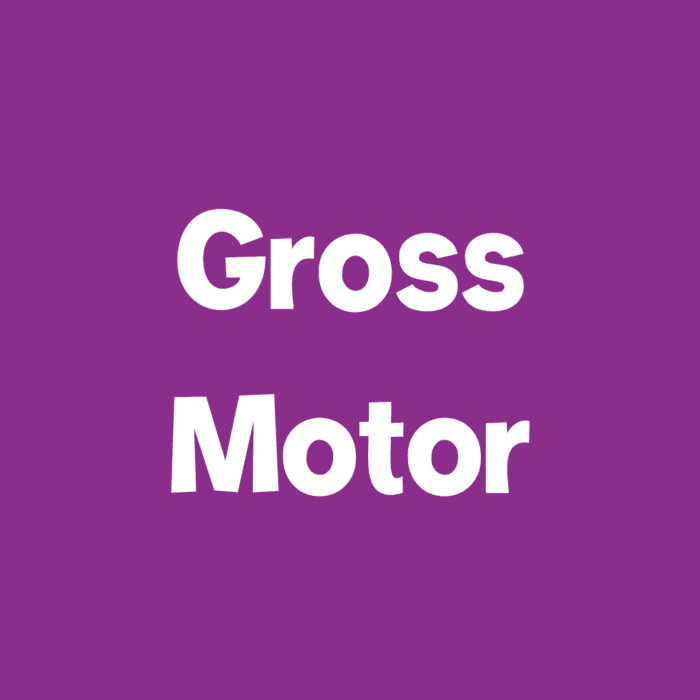 gross motor icon