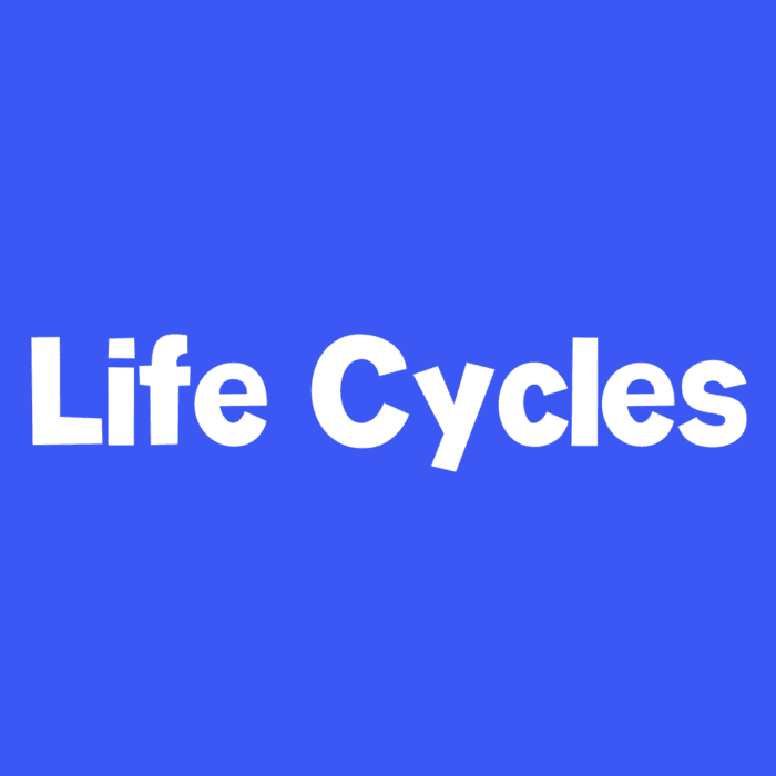 blue square icon text says [life cycles]