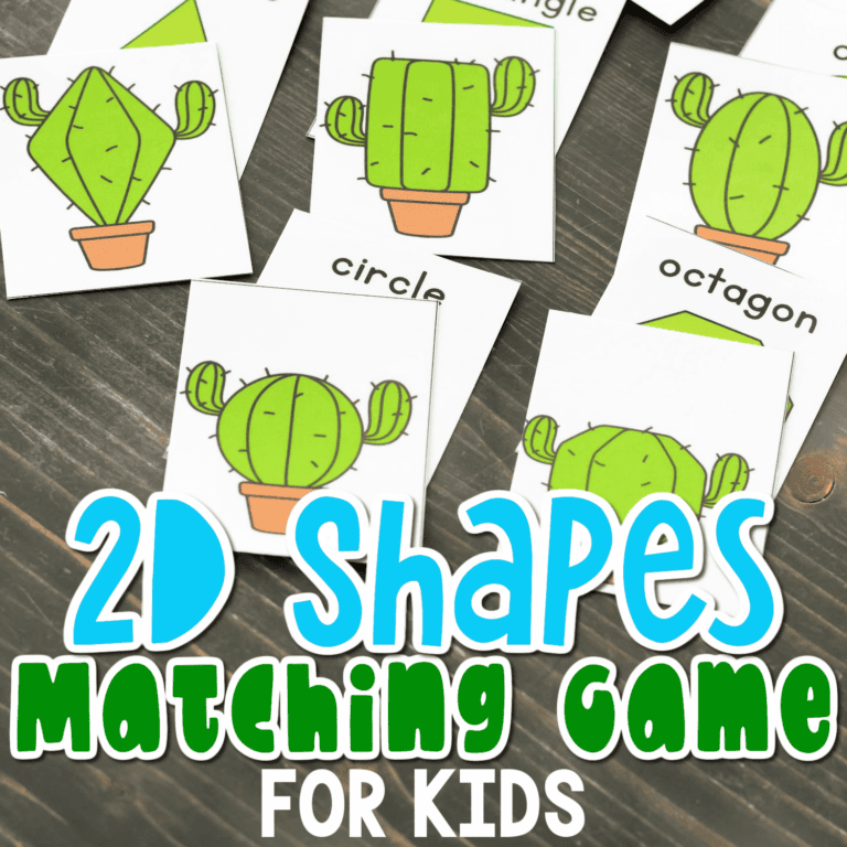 overhead shot of cards for a cactus theme shape matching game.