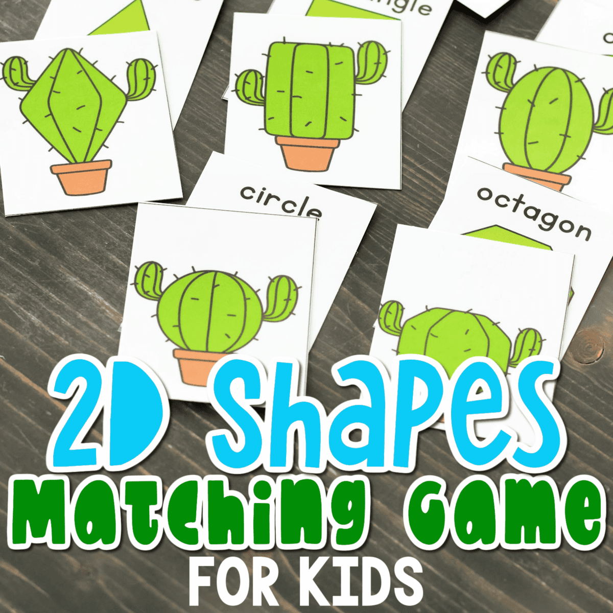 overhead shot of cards for a cactus theme shape matching game.