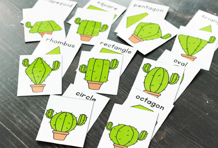cards for a cactus-themed shape matching game.