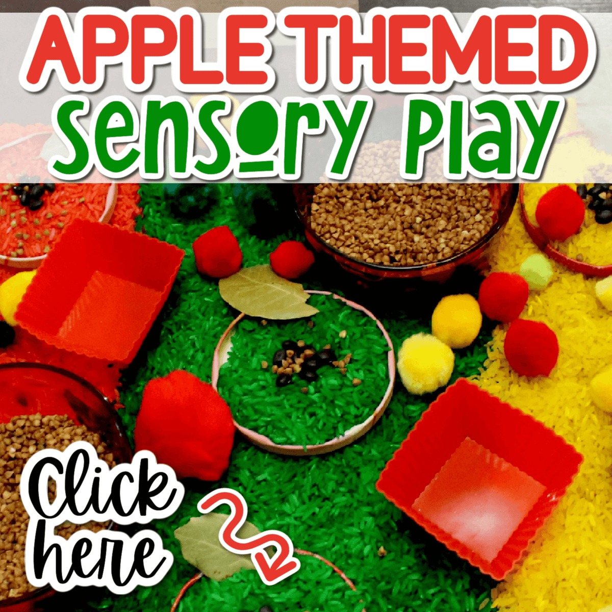 apple theme sensory bin with red, green and yellow dyed rice, bulgar and pom poms