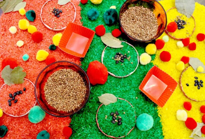 red, yellow, & green dyed rice make up the background of a colorful apple sensory bin.
