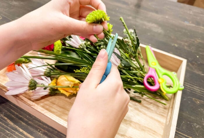 a child cutting flowers in a wooden tray.