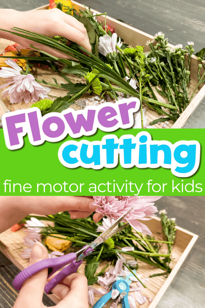 two photos showing a child cutting flowers in a wooden tray.