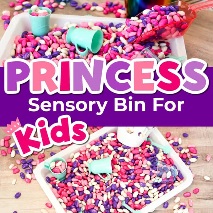 photo collage of a princess sensory bin for kids.