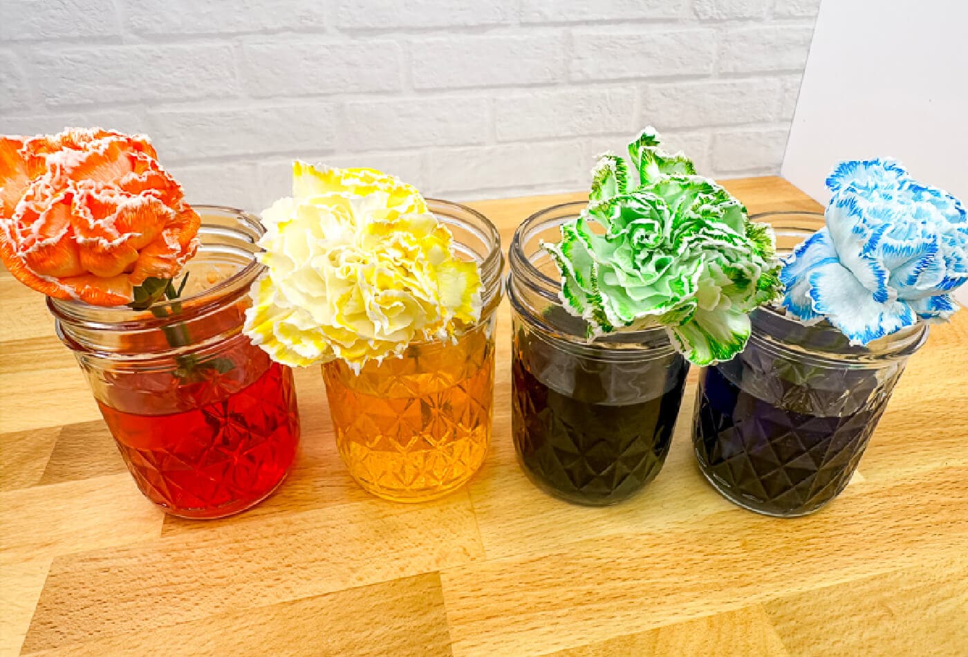 overhead shot of an orange, yellow, green, and blue flower sitting in jars with colored water.